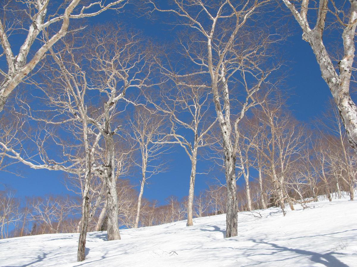 Resort Project Myoko Kogen Ngoại thất bức ảnh